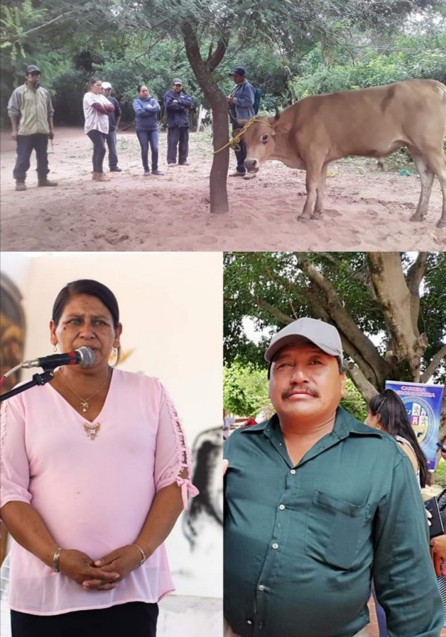 Solidaridad en tiempos de cuarentena  a comunidades Guaran&iacute;s de Machareti.