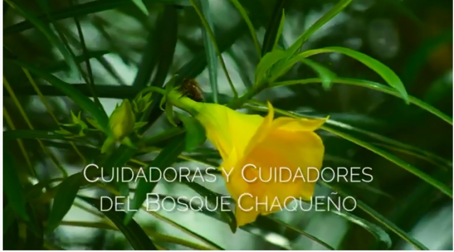 Estreno del Documental: Cuidadoras y cuidadores del Bosque Chaque&ntilde;o