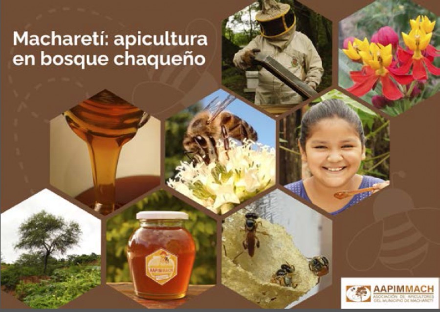 Folleto sobre Apicultura en bosque chaque&ntilde;o en Macharet&iacute; 